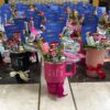 GenZ Hamper